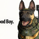 Illustration for article titled Thanks, emCall of Duty/em Dog, For Brightening Up A Mostly Dull Xbox Event